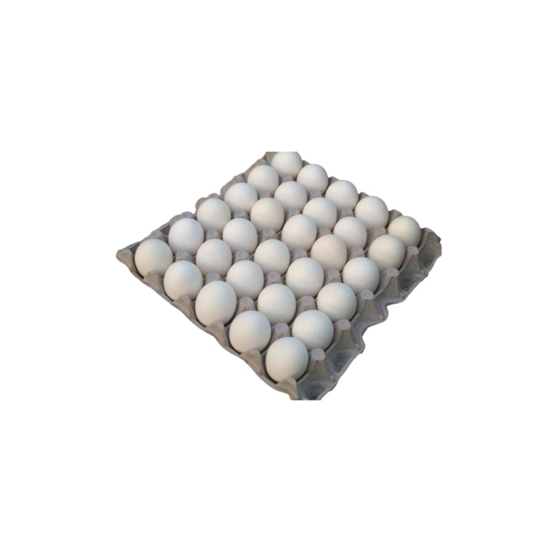بيض ابيض كرتونة-30 بيضة
